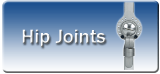 Hip Joints