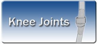 knee joints